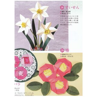 Origamisammlung fr Gehirnjogging